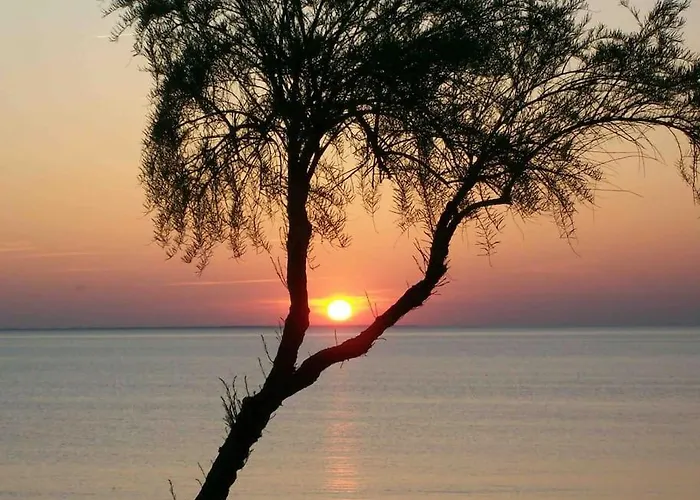 Villa Les Pieds Dans L'eau Acces Direct A La *