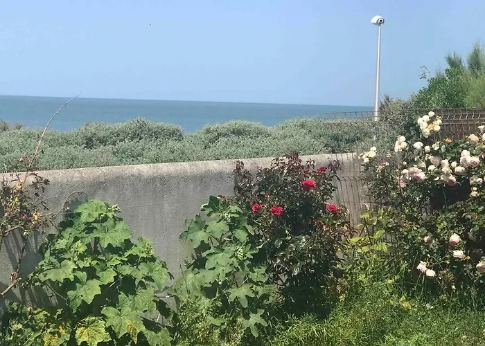 Villa Les Pieds Dans L'eau Acces Direct A La *